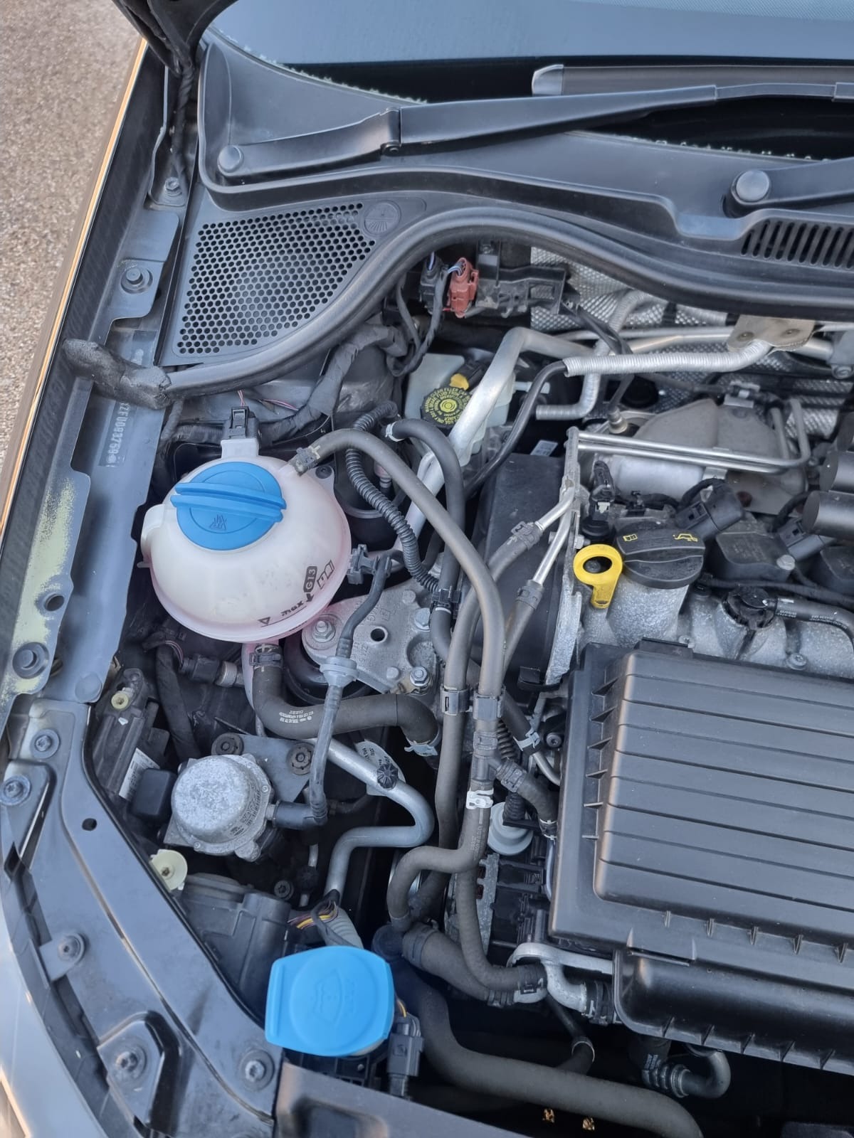 Used Volkswagen Polo 2014 for sale - 76758949: Photo 32