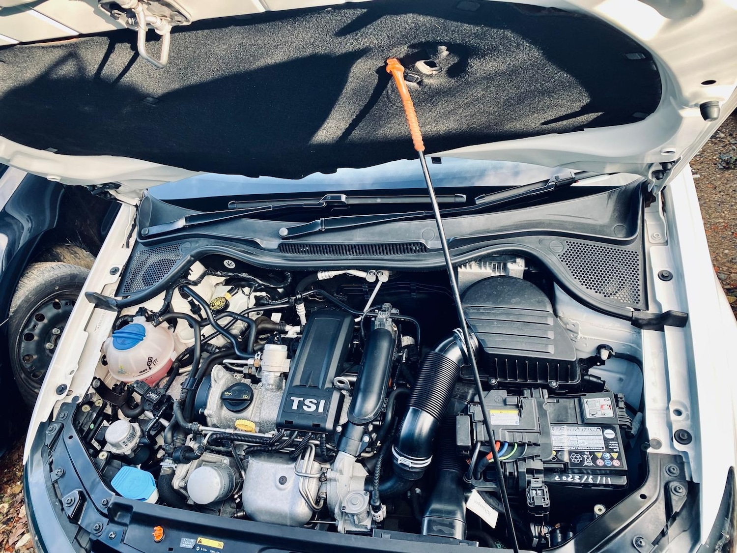 Used Volkswagen Polo for sale - 76949405: Photo 56