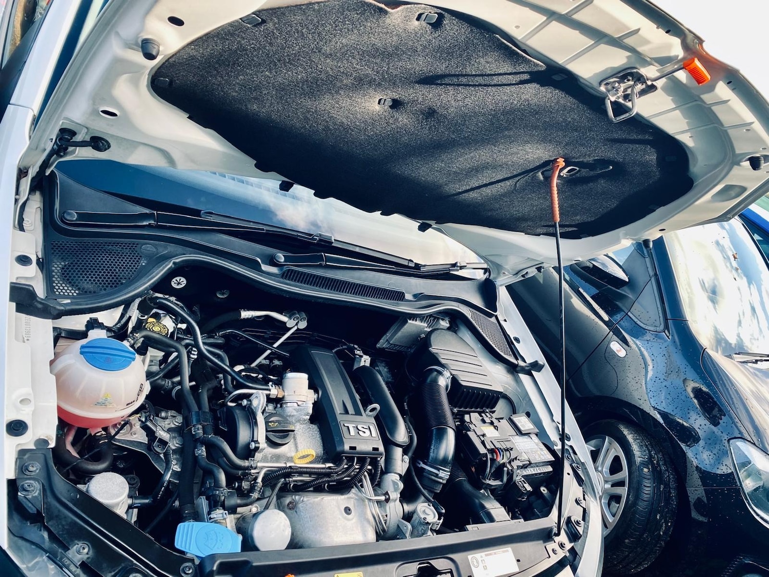 Used Volkswagen Polo for sale - 76949405: Photo 57