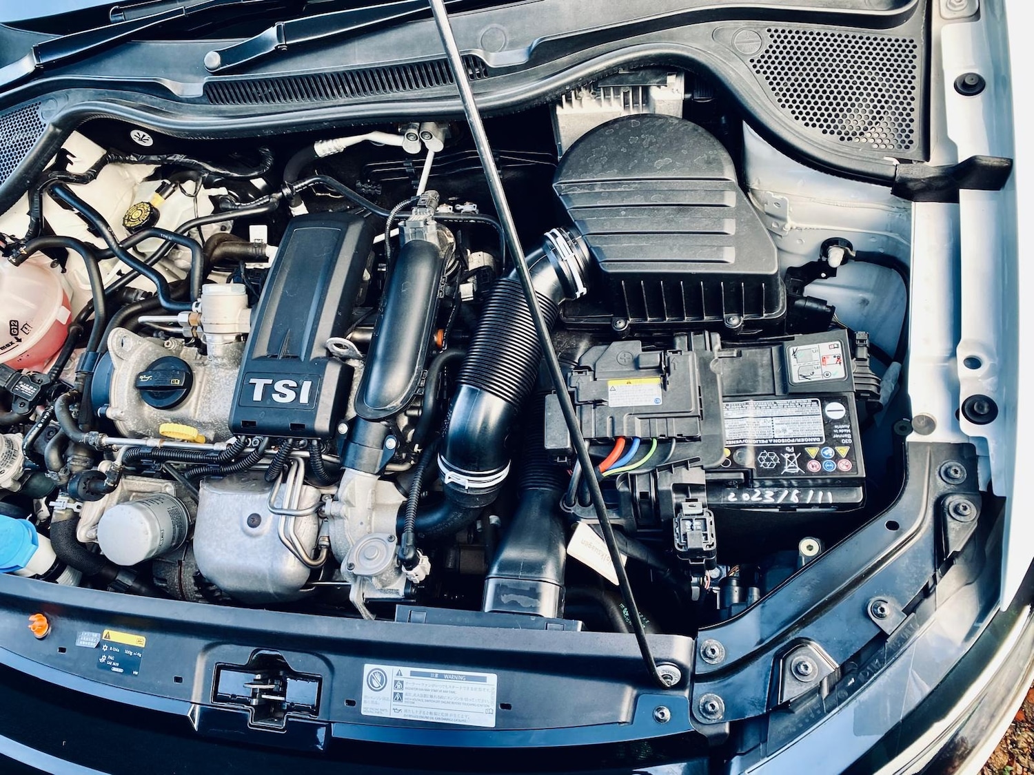 Used Volkswagen Polo for sale - 76949405: Photo 58