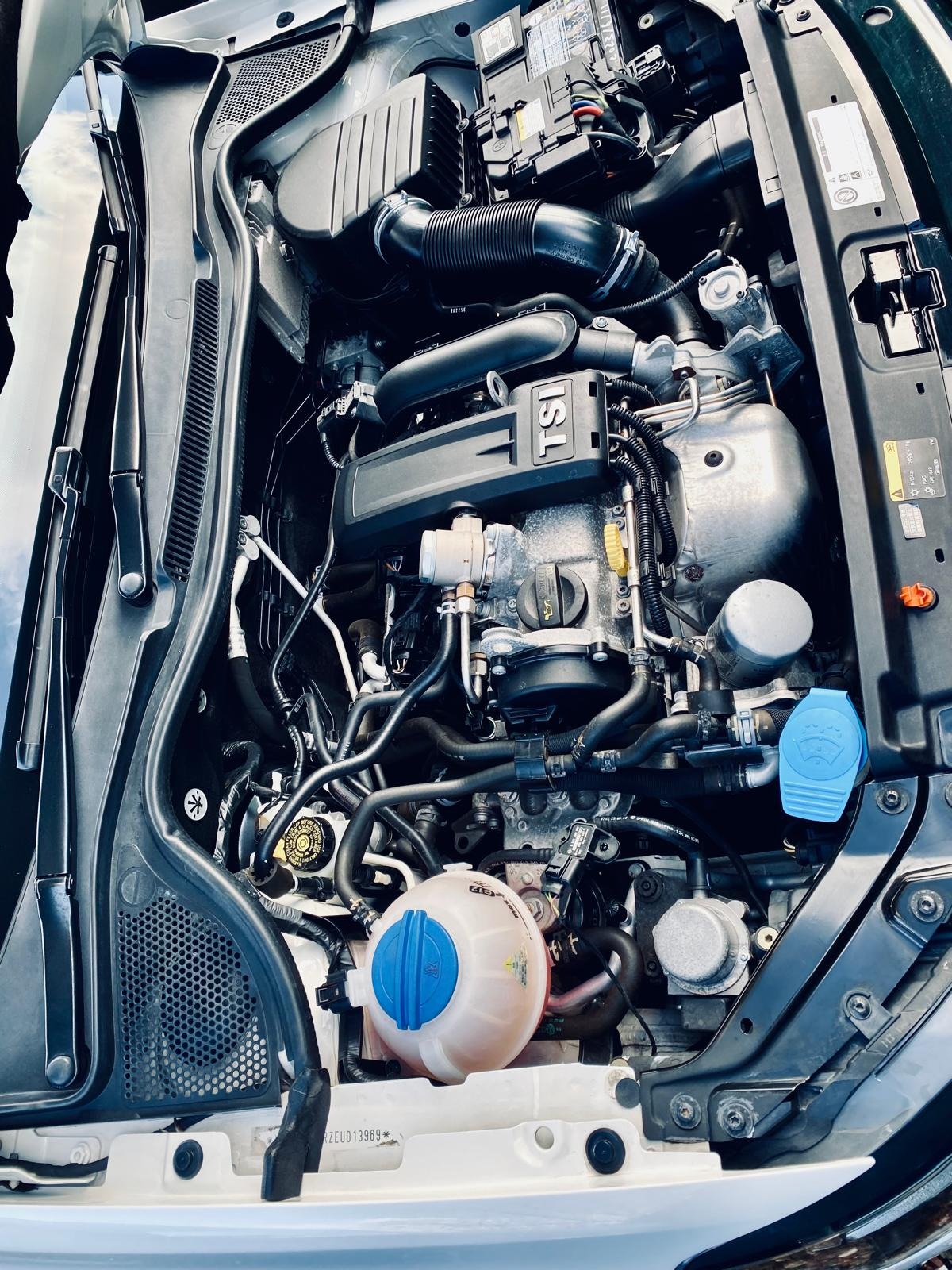 Used Volkswagen Polo for sale - 76949405: Photo 59