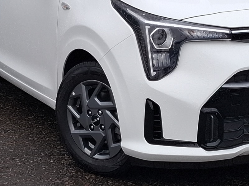 Used Kia Picanto 2025 for sale - 76478966: Photo 9