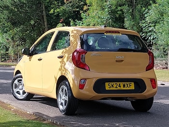 Used Kia Picanto 2024 for sale - 79382275: Photo