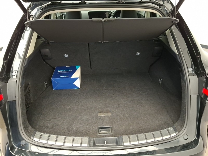 Used Lexus NX 2024 for sale - 77987576: Photo 8