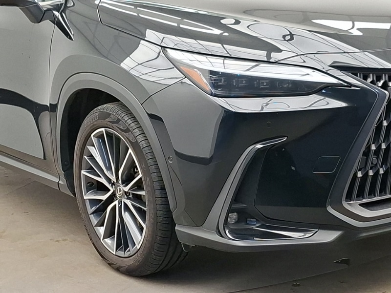 Used Lexus NX 2024 for sale - 77987576: Photo 9