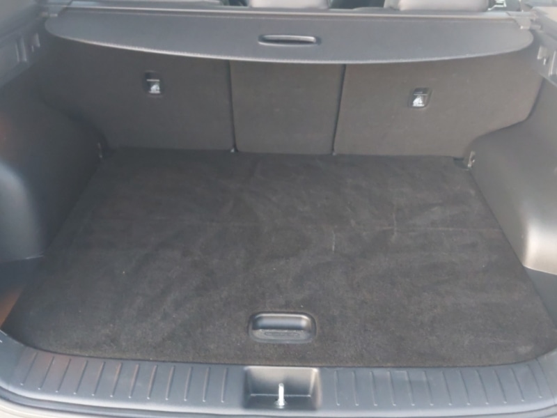 Used Kia Sportage 2025 for sale - 77190191: Photo 8