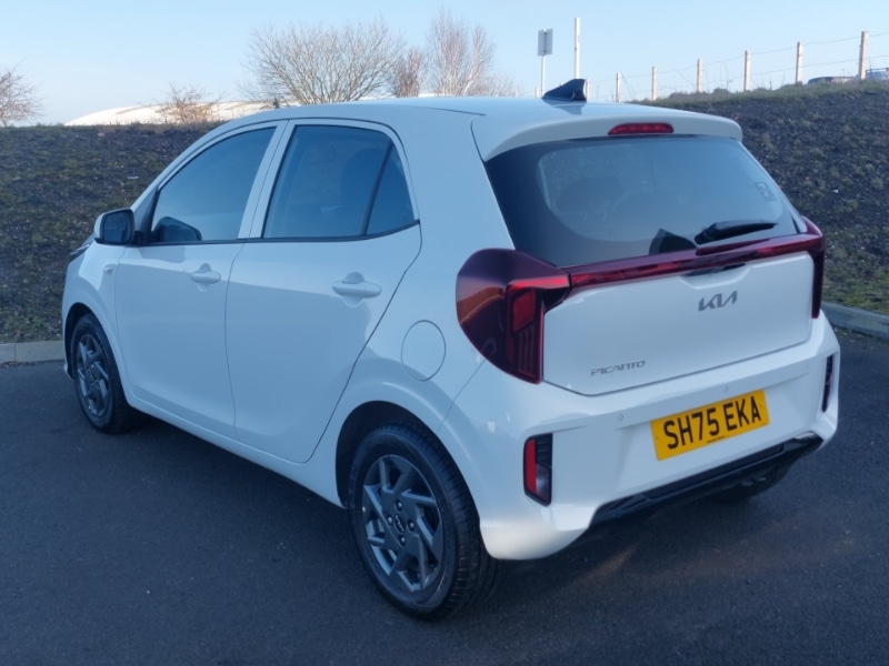 Used Kia Picanto 2025 for sale - 77752593: Photo 3