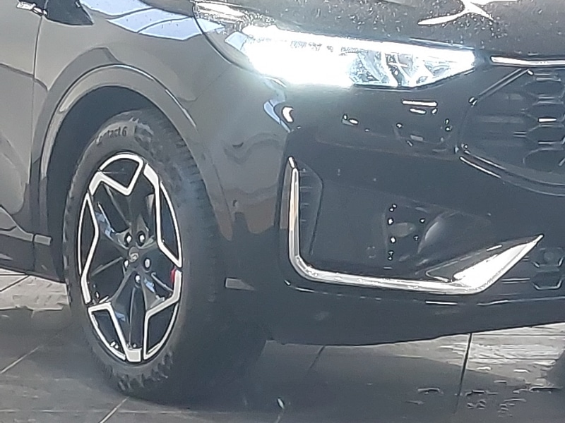 Used Ford Kuga 2025 for sale - 76160042: Photo 9