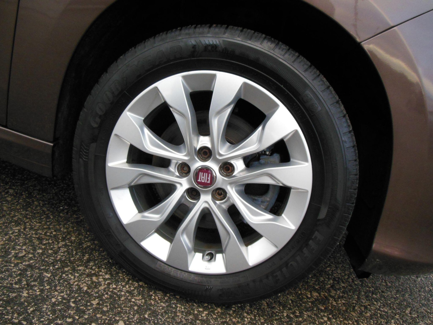 Used Fiat Tipo 2019 for sale - 77238179: Photo 11