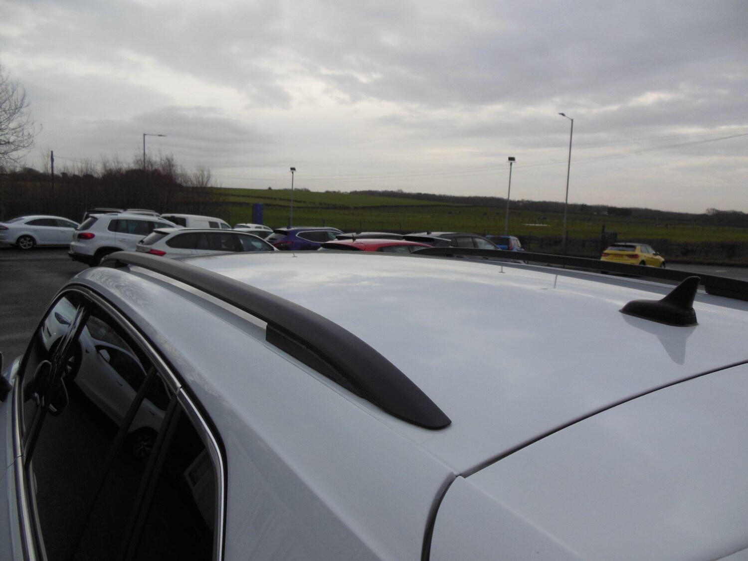 Used Volkswagen Tiguan for sale - 77174982: Photo 22