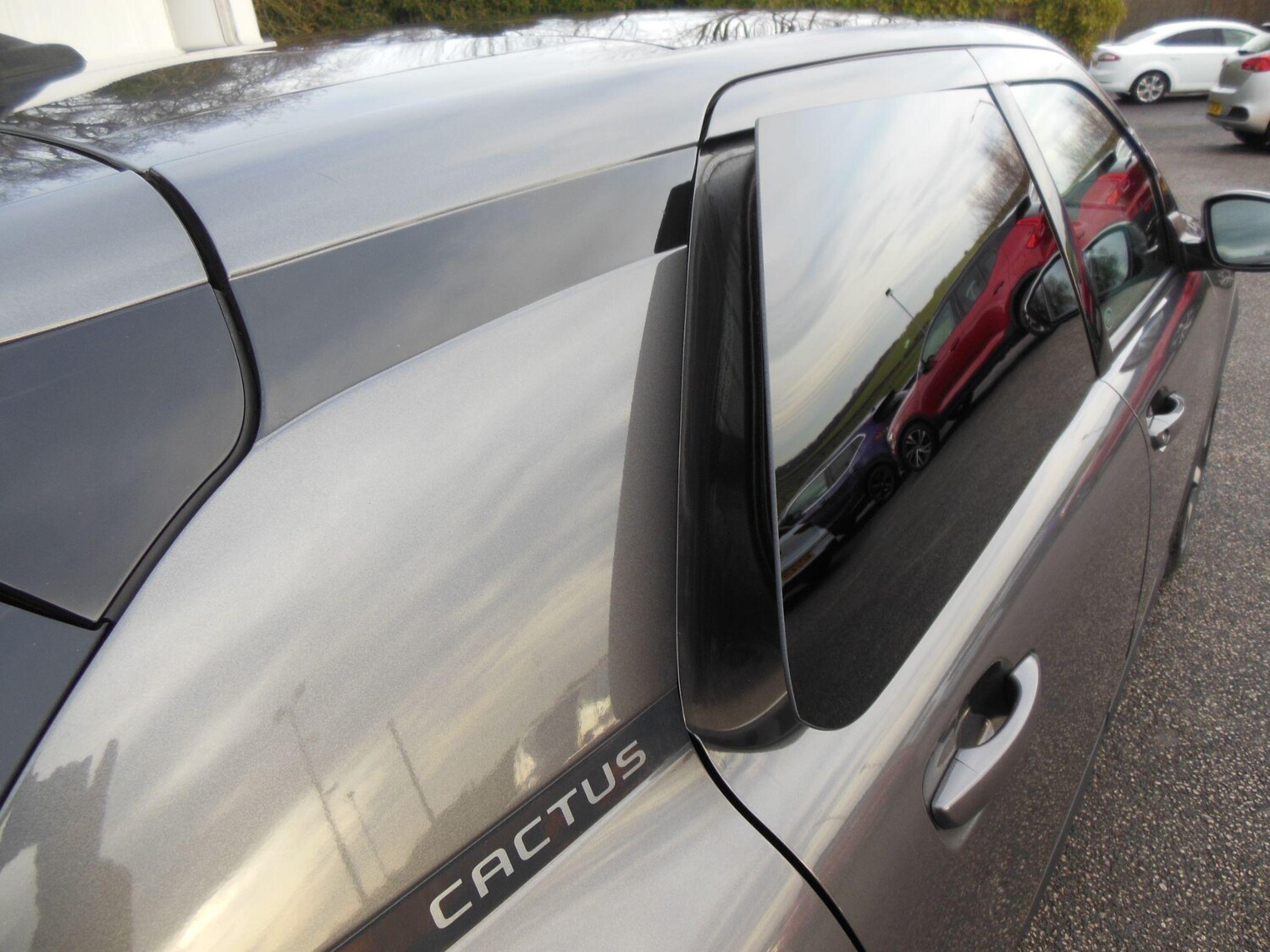 Used Citroen C4 Cactus 2020 for sale - 77203464: Photo 12