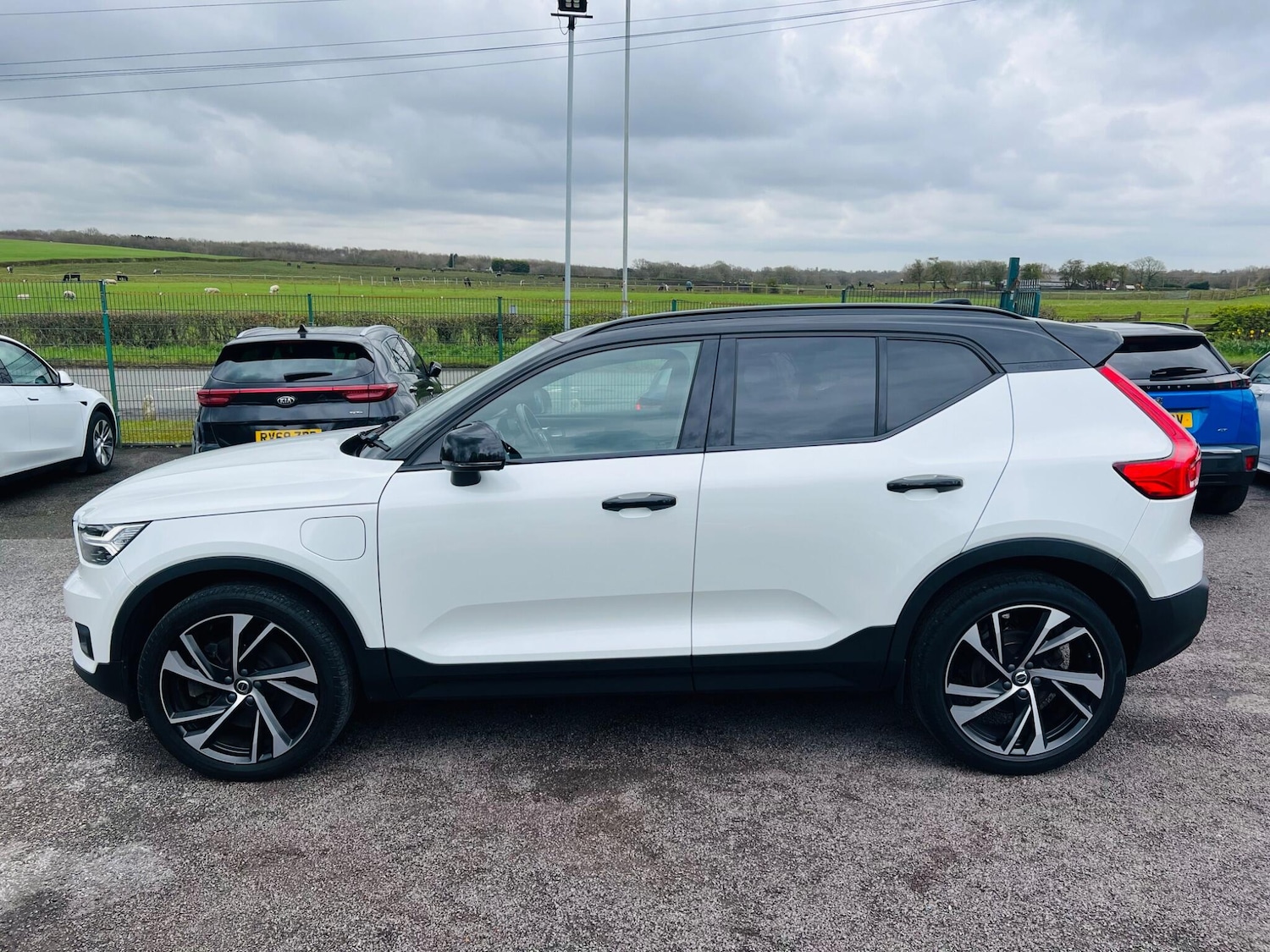 Used Volvo XC40 2020 for sale - 78099968: Photo 4