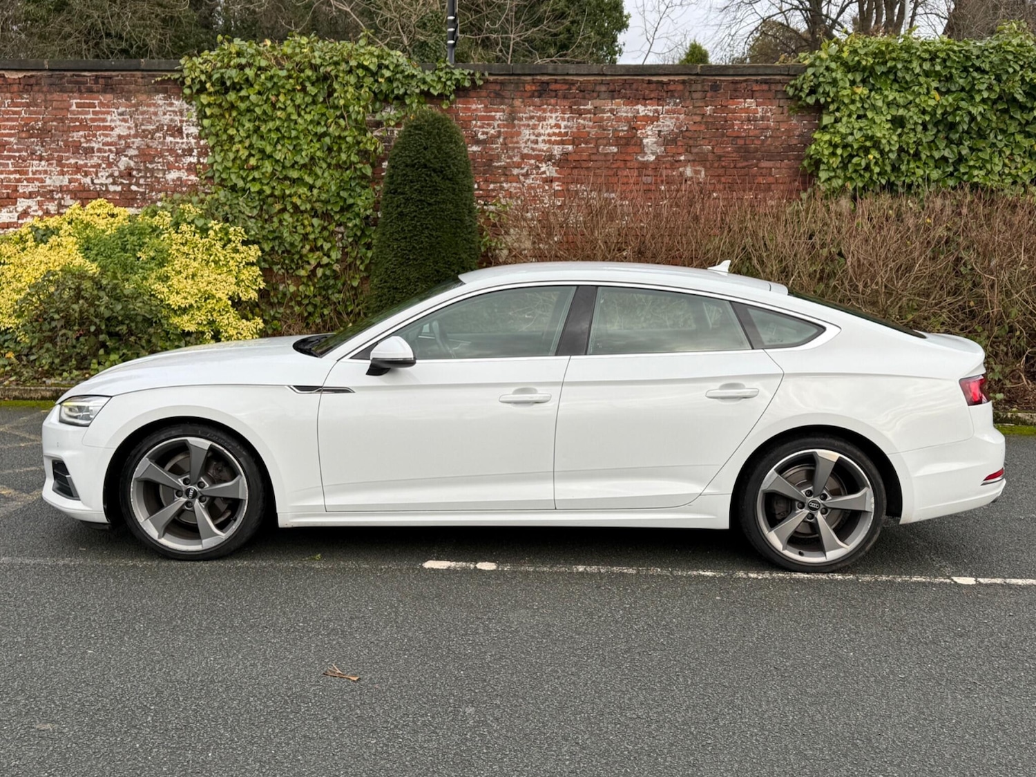 Used Audi A5 2018 for sale - 76976842: Photo 8