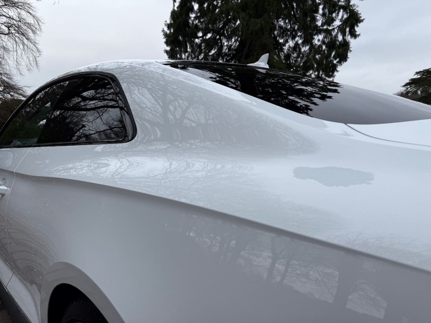 Used Audi A5 2019 for sale - 77663522: Photo 11