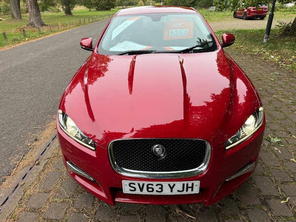 Used Jaguar XF 2013 for sale - 76179129: Photo 11