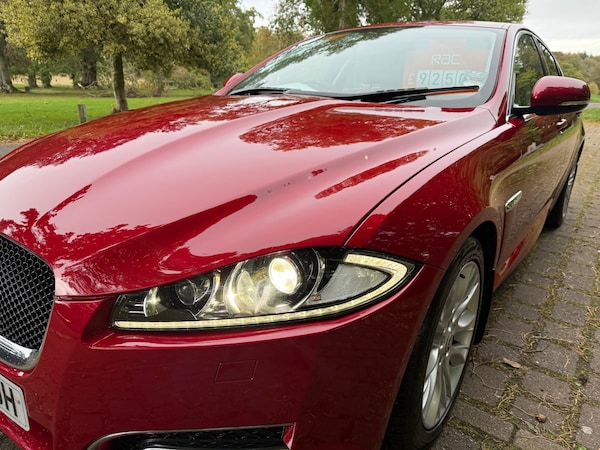 Used Jaguar XF 2013 for sale - 76179129: Photo 13