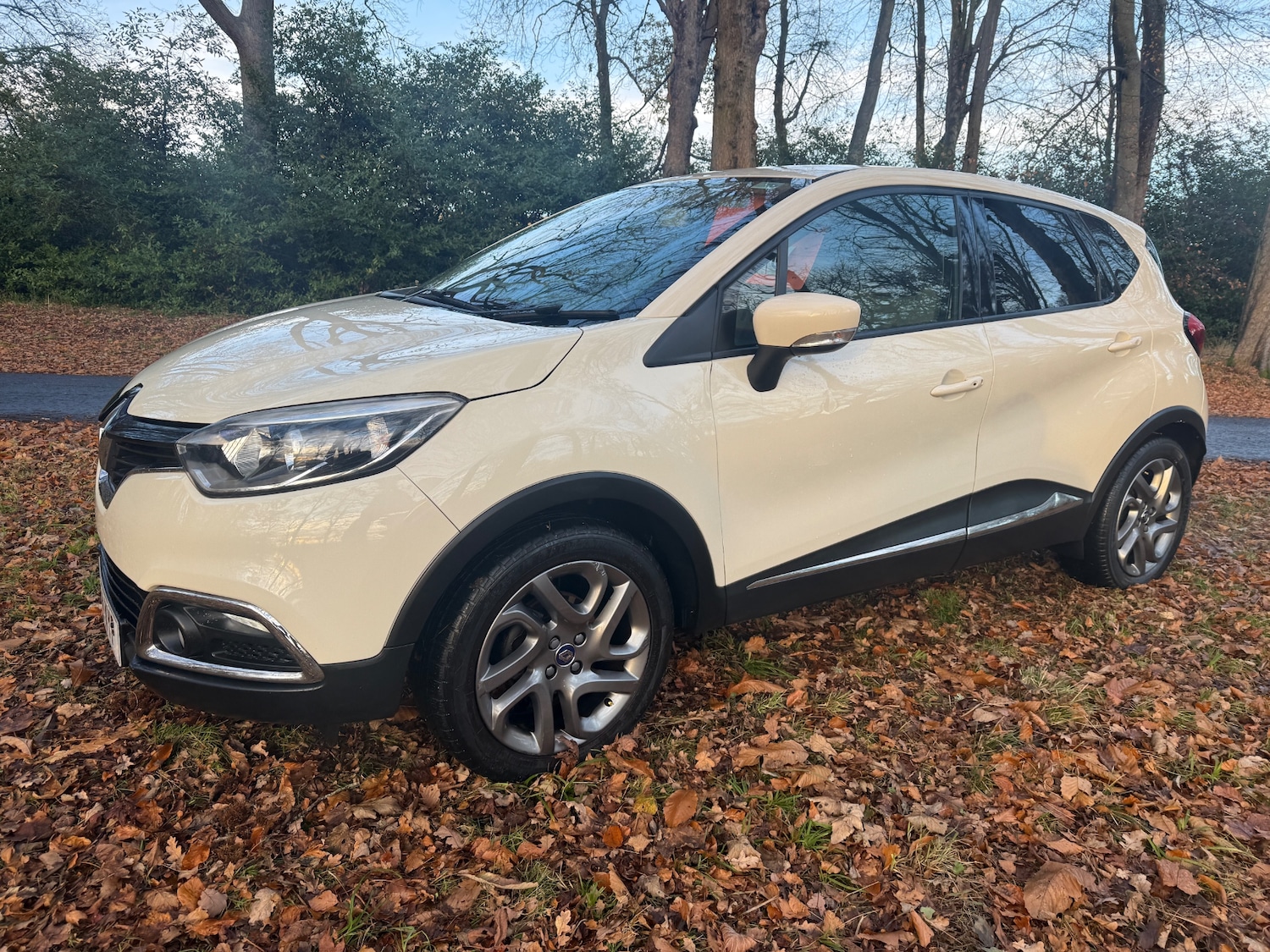 Used Renault Captur 2014 for sale - 76668993: Photo 4