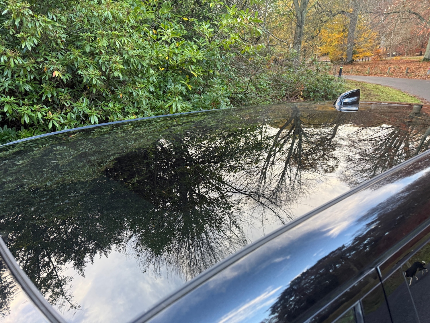 Used Land Rover Range Rover Evoque 2020 for sale - 76501607: Photo 24