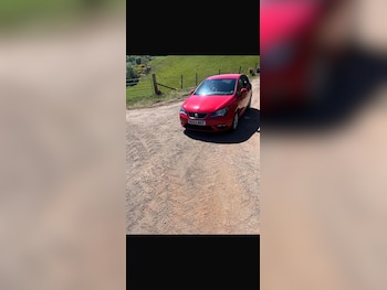 Used SEAT Ibiza 2014 for sale - 79134368: Photo