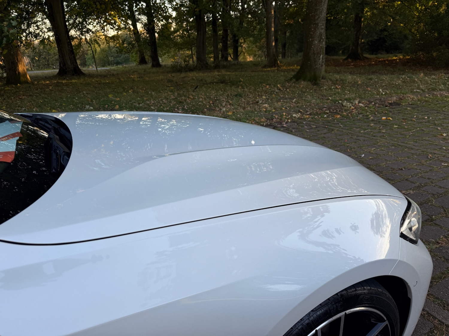 Used BMW 3 Series 2019 for sale - 76248877: Photo 16