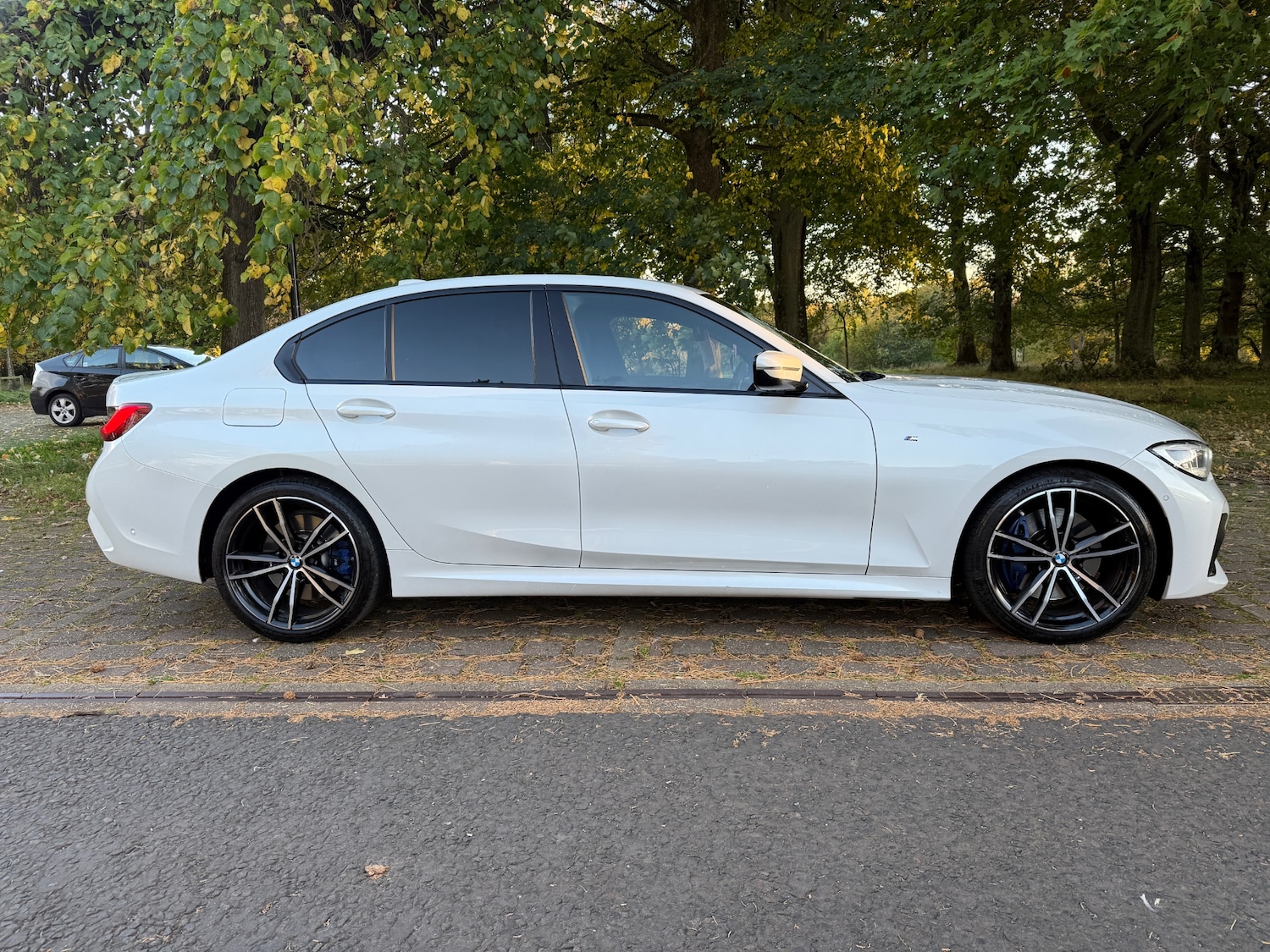 Used BMW 3 Series 2019 for sale - 76248877: Photo 7
