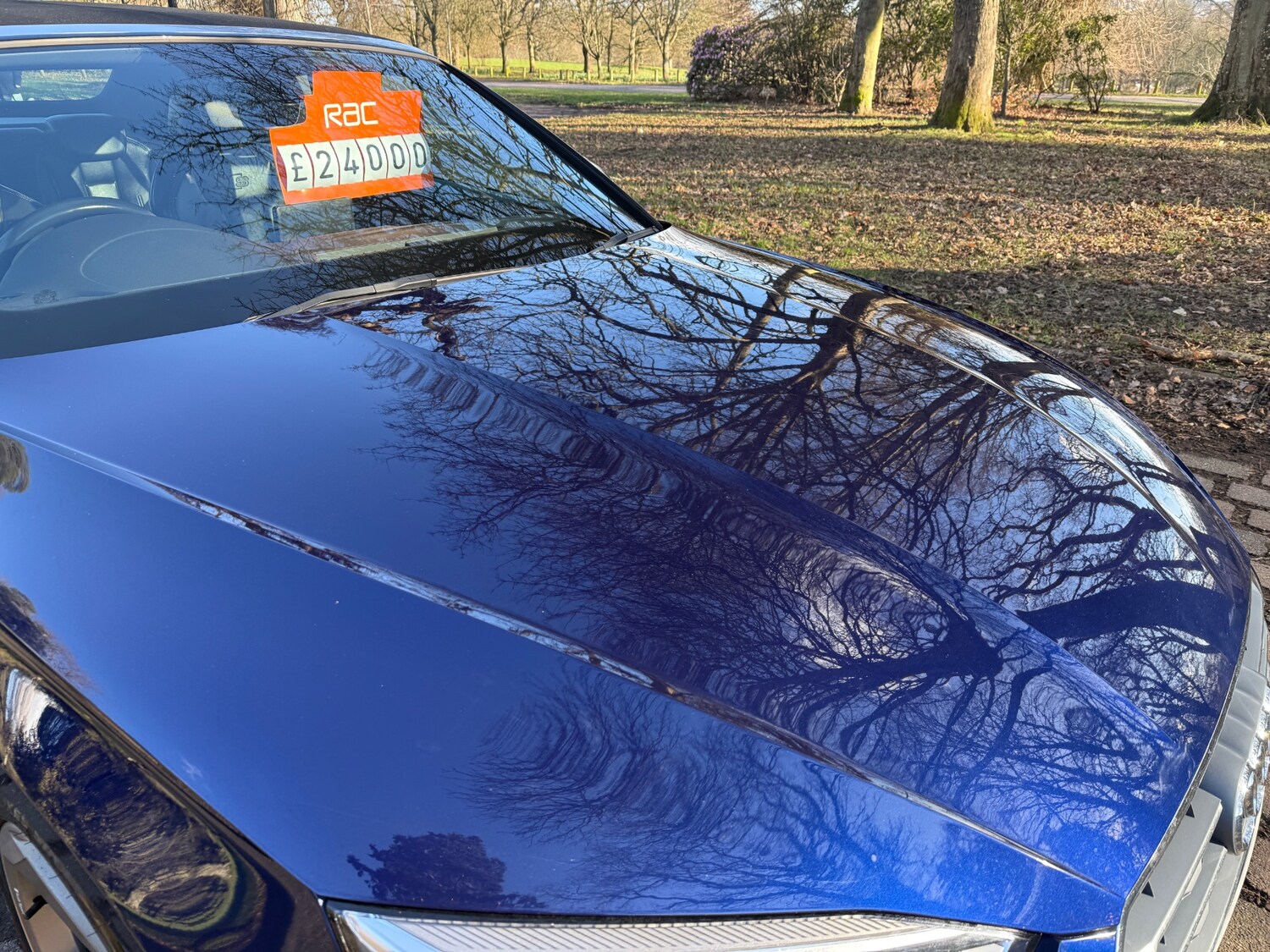 Used Audi A5 2020 for sale - 77726503: Photo 25