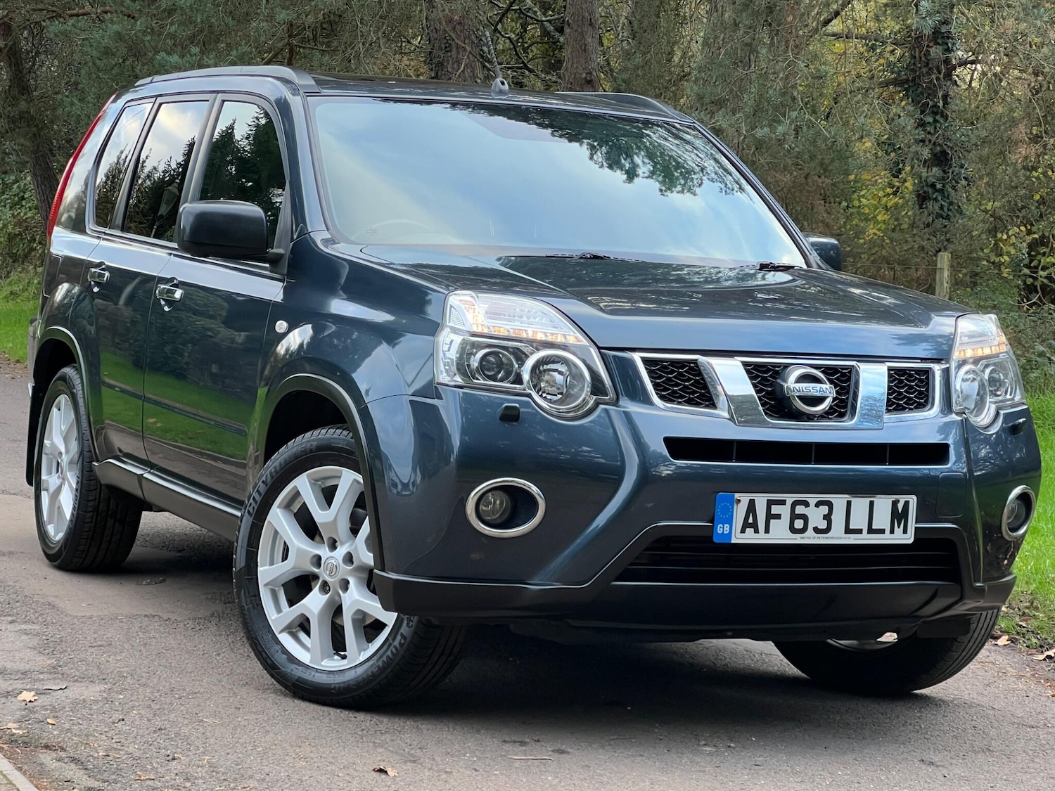 Used Nissan X-Trail 2013 for sale - 76953926: Photo 1