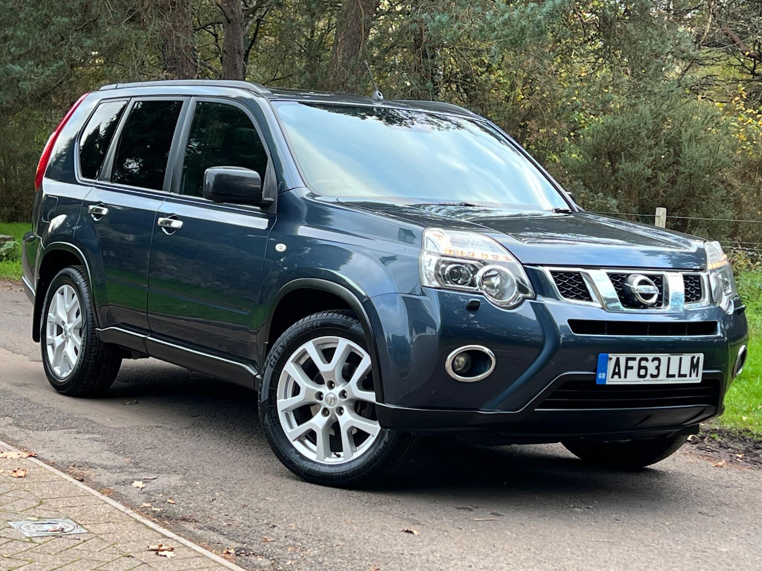 Used Nissan X-Trail 2013 for sale - 76953926: Photo 14