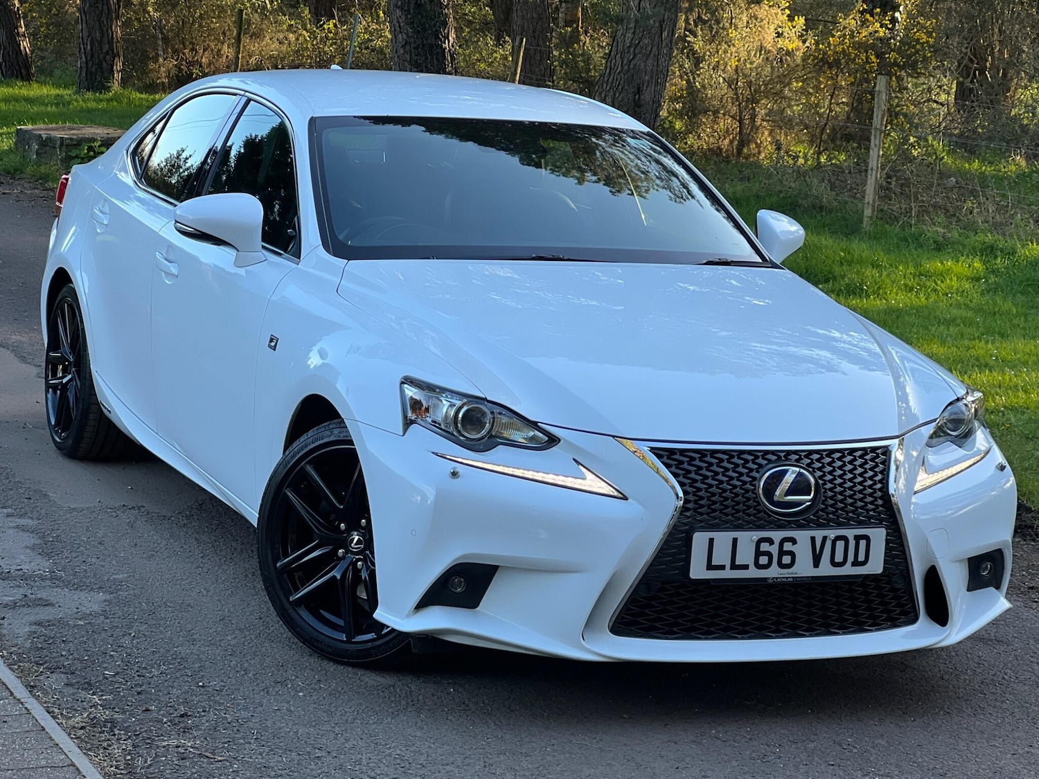 Used Lexus IS 2016 for sale - 78019248: Photo 13