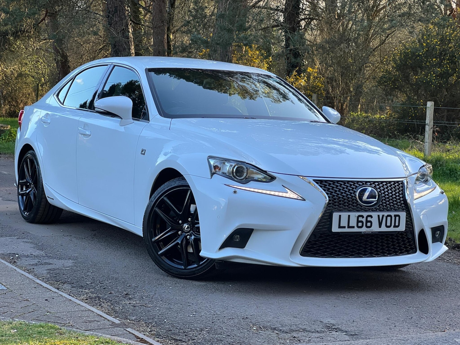 Used Lexus IS 2016 for sale - 78019248: Photo 14