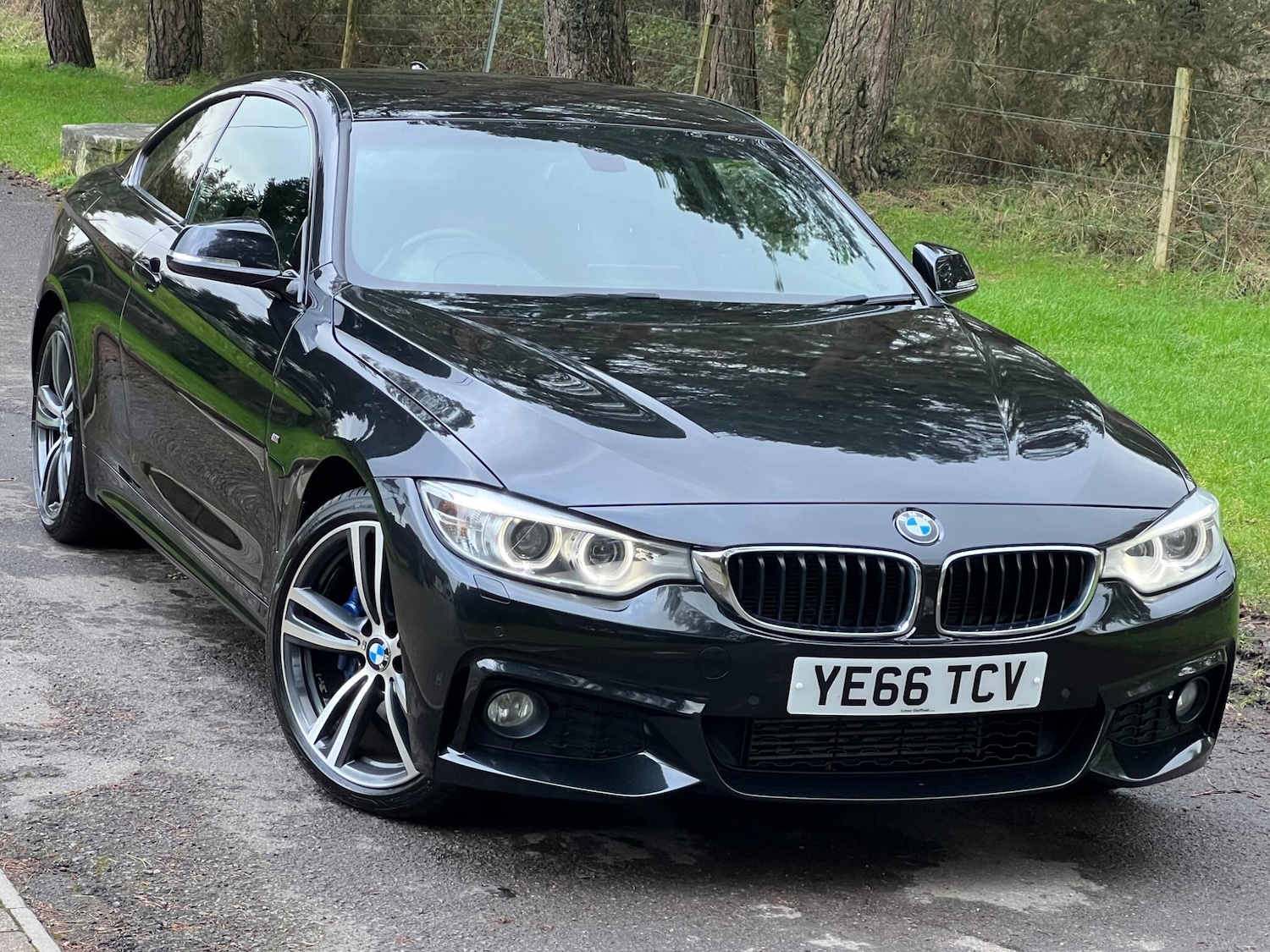 Used BMW 4 Series 2016 for sale - 77427691: Photo 13