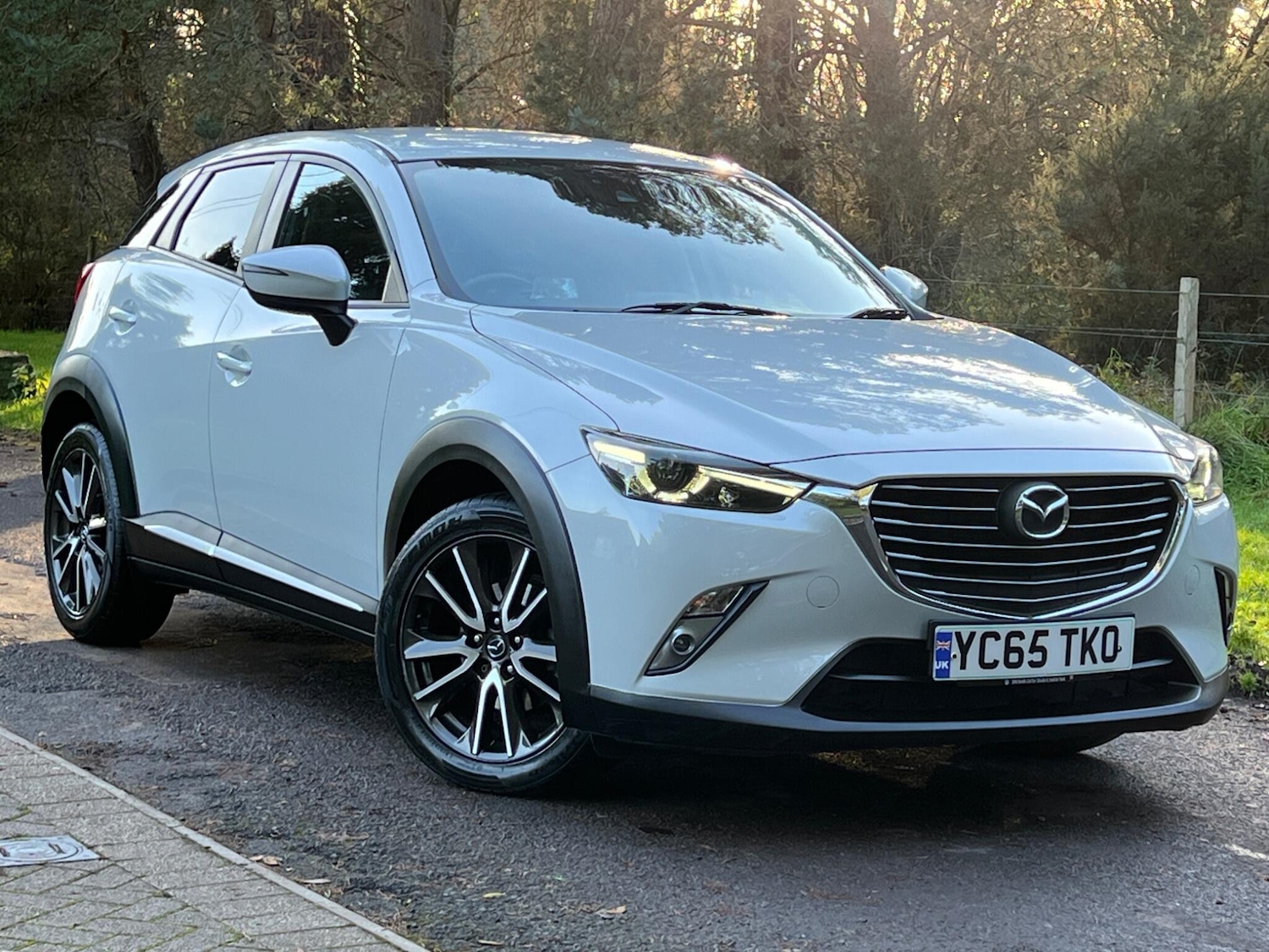 Used Mazda CX-3 2015 for sale - 76975628: Photo 14