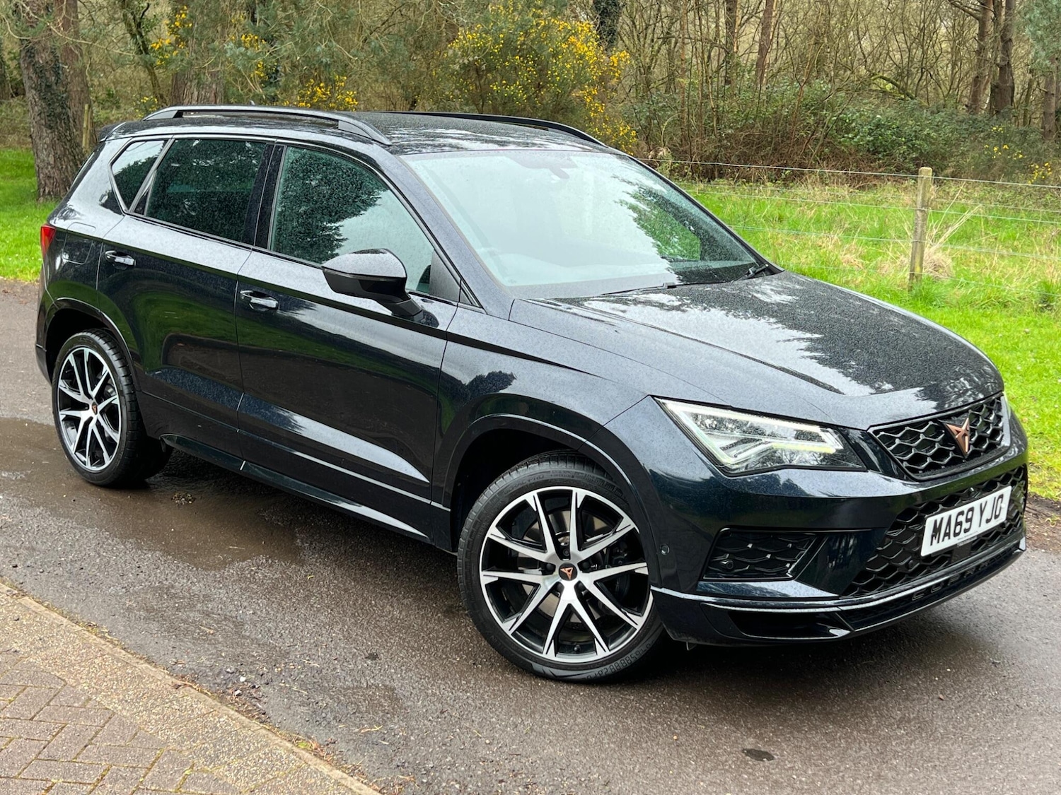 Used SEAT CUPRA Ateca 2019 for sale - 78019075: Photo 16