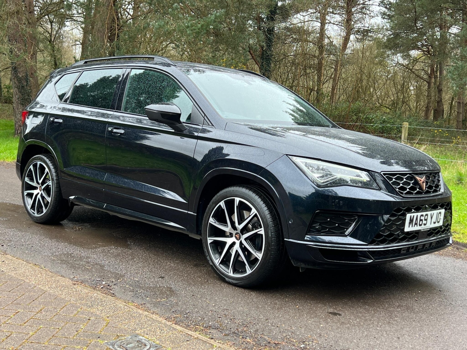 Used SEAT CUPRA Ateca 2019 for sale - 78019075: Photo 17