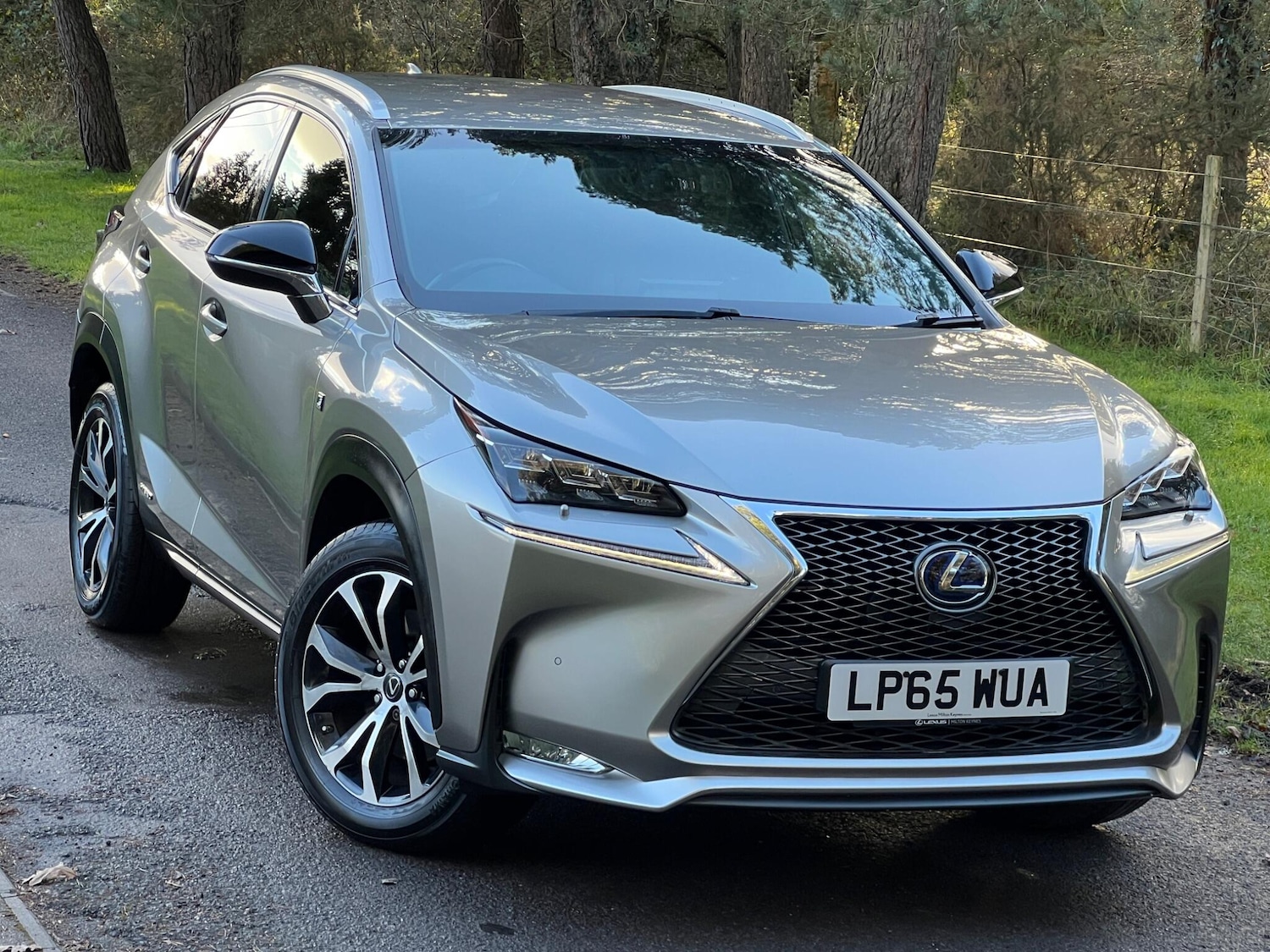 Used Lexus NX 2016 for sale - 77131791: Photo 18