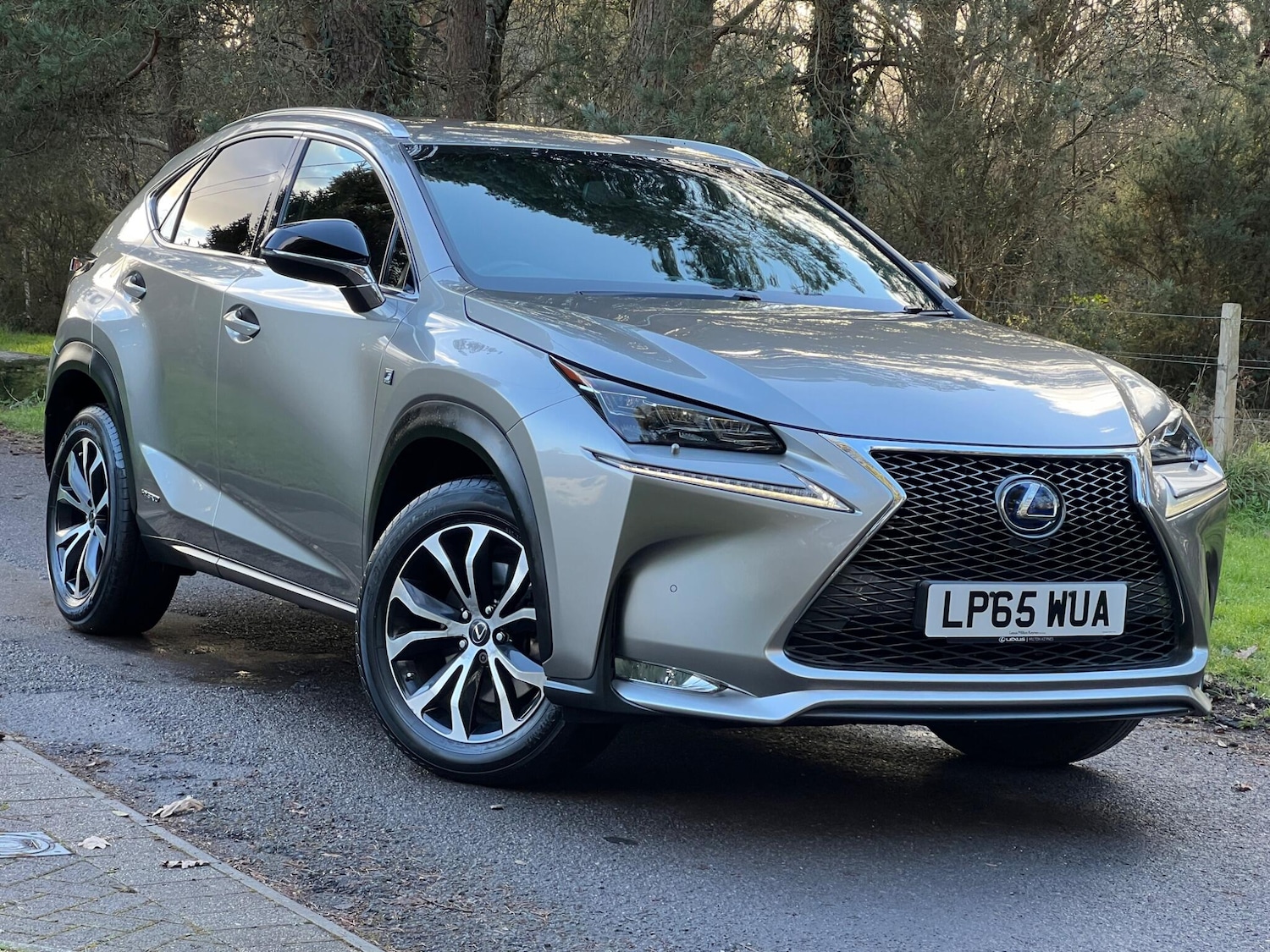 Used Lexus NX 2016 for sale - 77131791: Photo 19