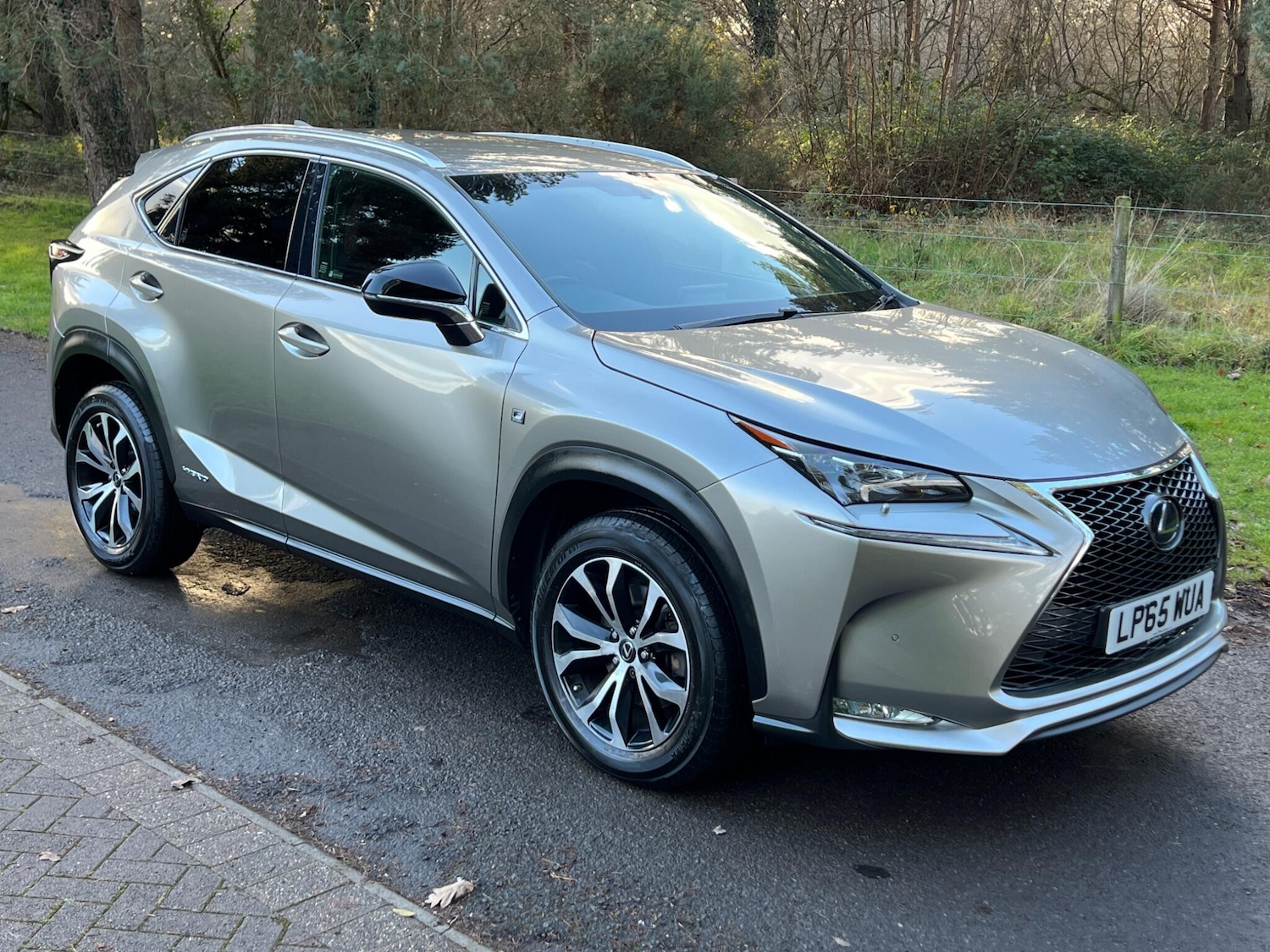 Used Lexus NX 2016 for sale - 77131791: Photo 23