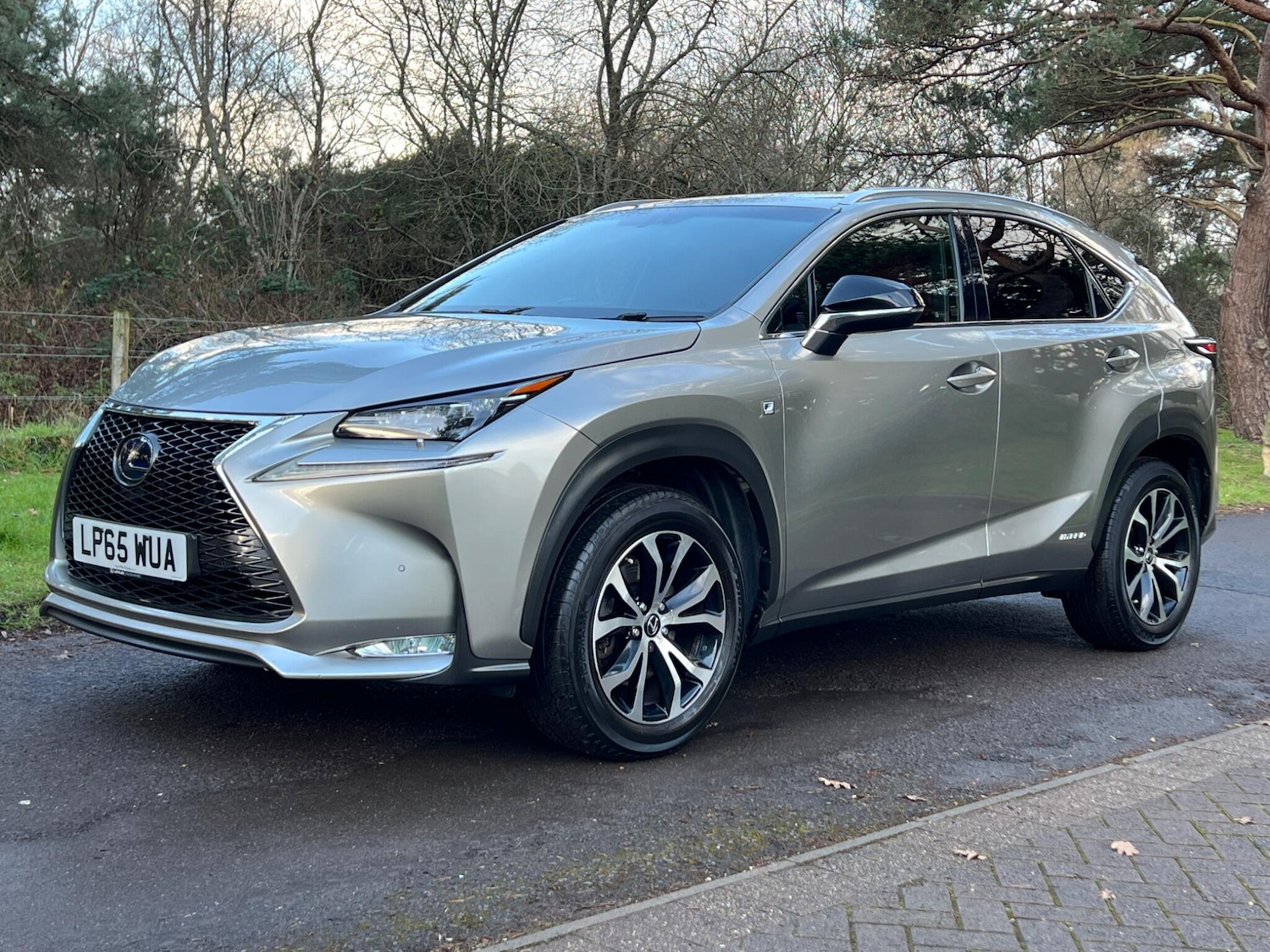 Used Lexus NX 2016 for sale - 77131791: Photo 62