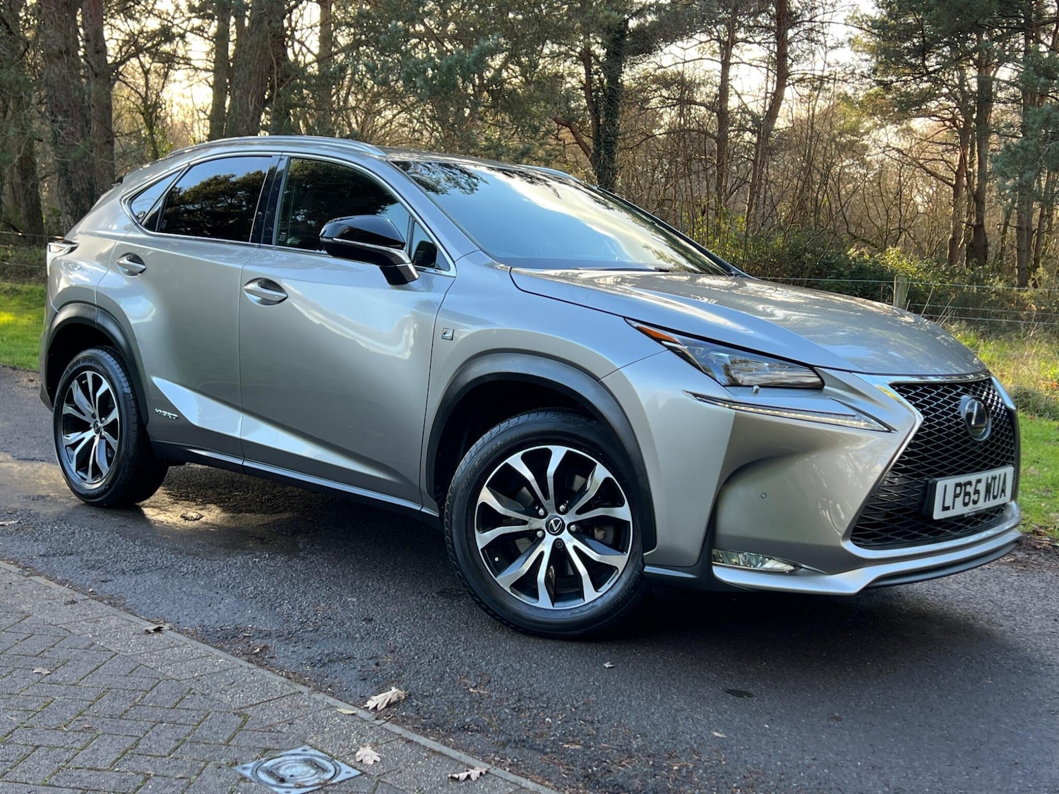 Used Lexus NX 2016 for sale - 77427657: Photo 20