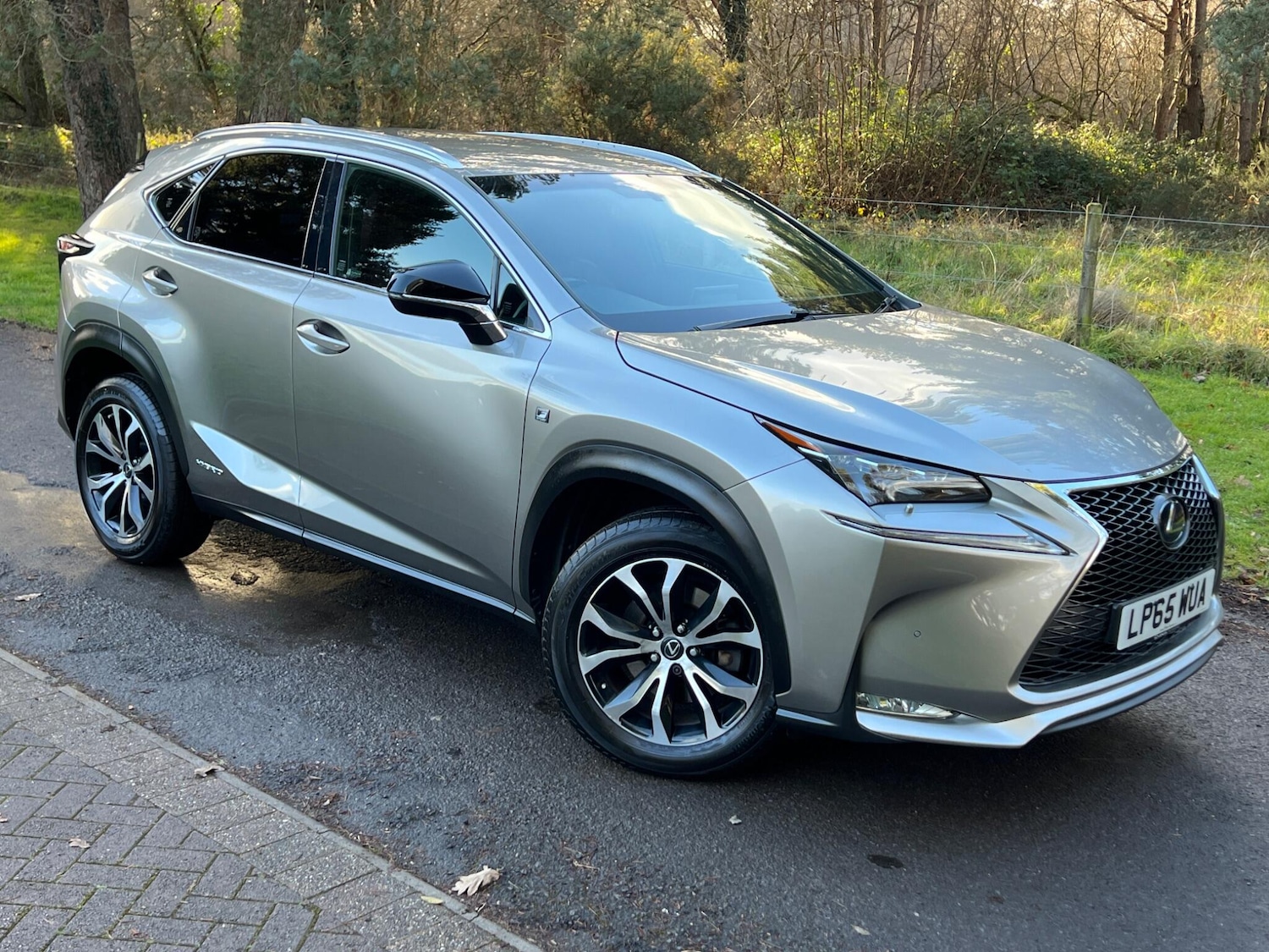 Used Lexus NX 2016 for sale - 77427657: Photo 21