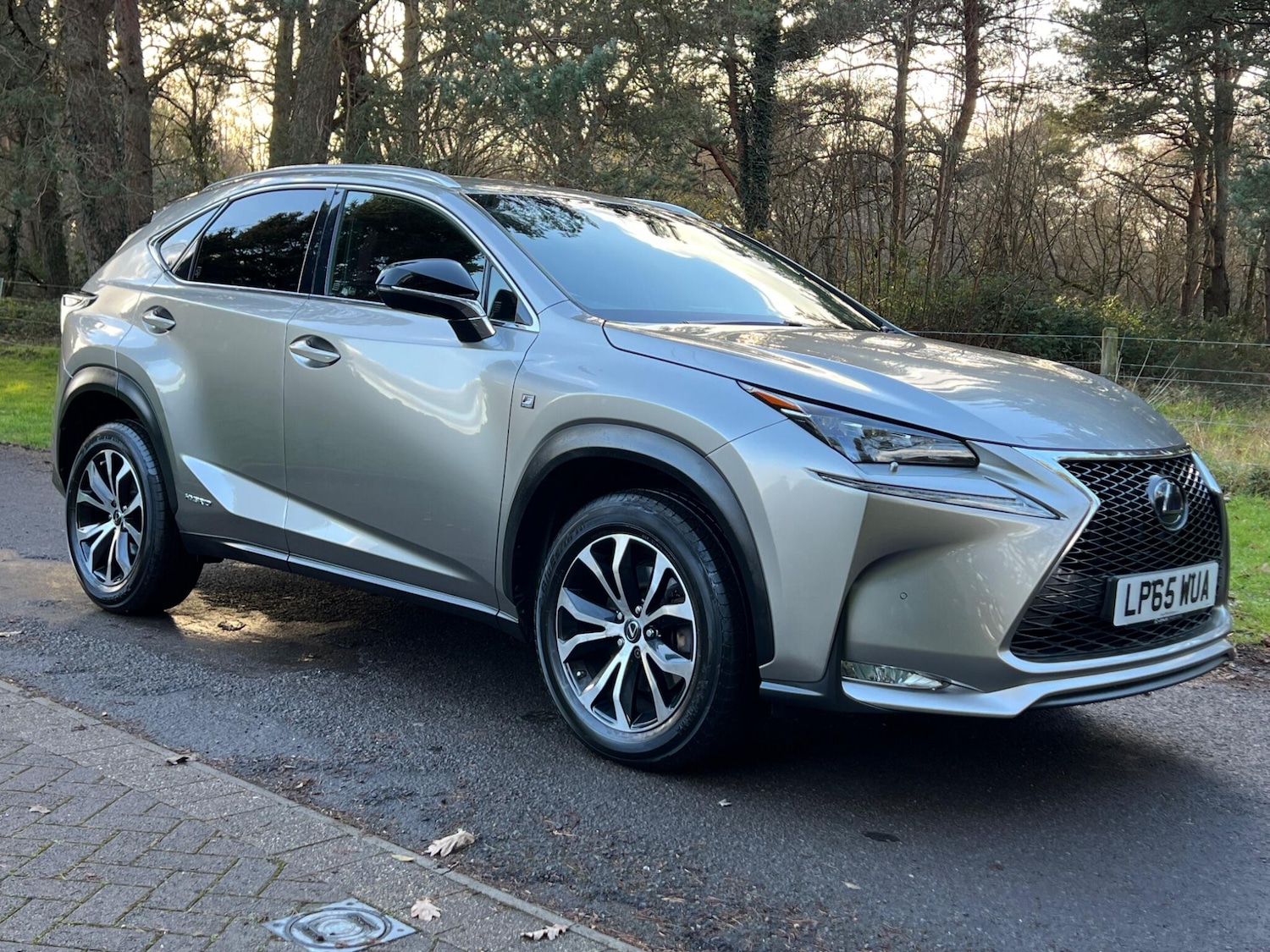 Used Lexus NX 2016 for sale - 77427657: Photo 22