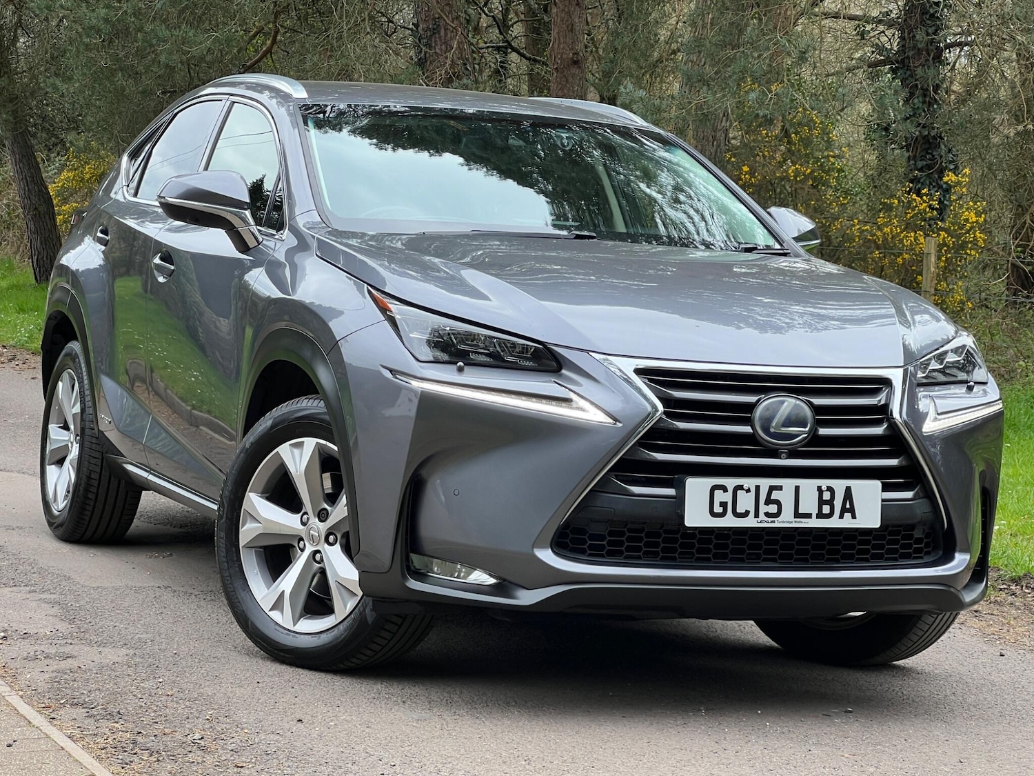Used Lexus NX 2015 for sale - 78115310: Photo 1