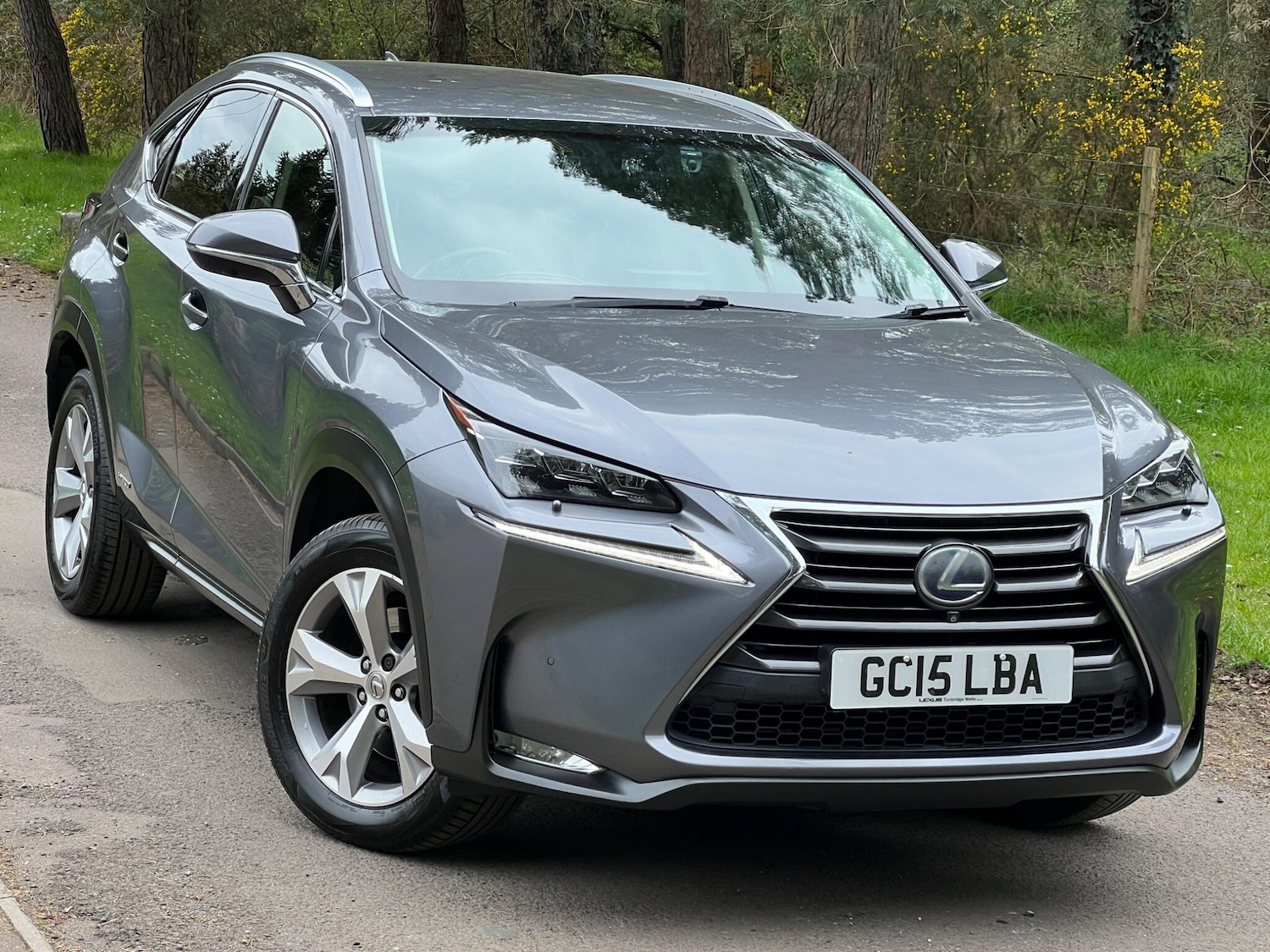 Used Lexus NX 2015 for sale - 78115310: Photo 17