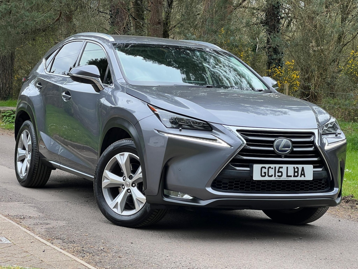 Used Lexus NX 2015 for sale - 78115310: Photo 18