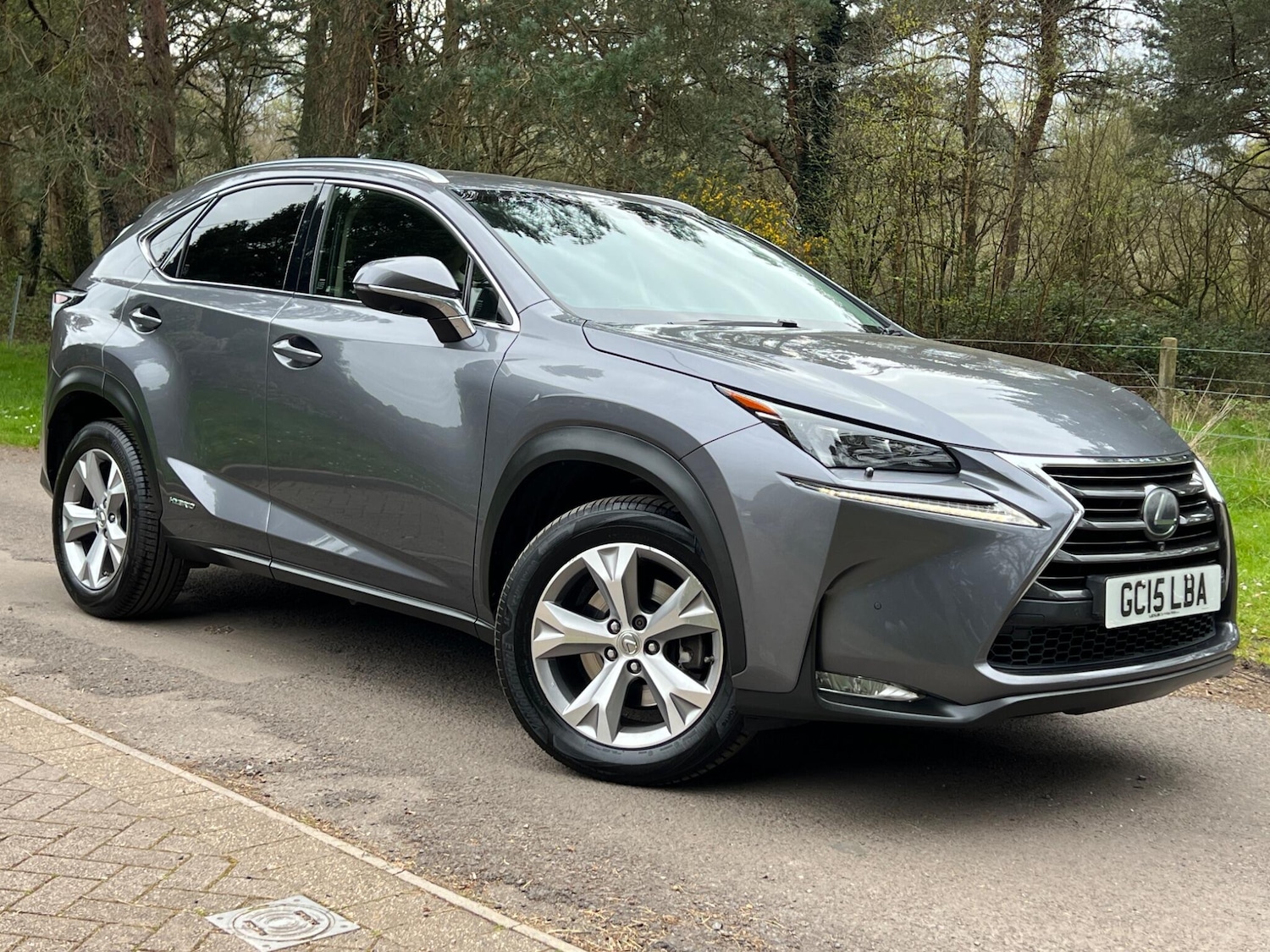 Used Lexus NX 2015 for sale - 78115310: Photo 19