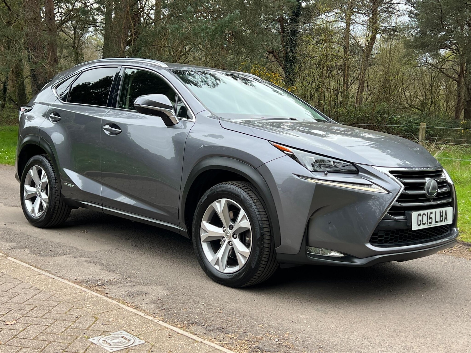 Used Lexus NX 2015 for sale - 78115310: Photo 21