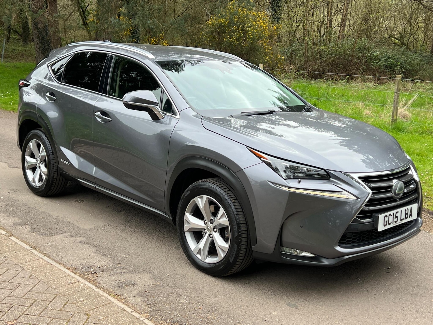 Used Lexus NX 2015 for sale - 78115310: Photo 22