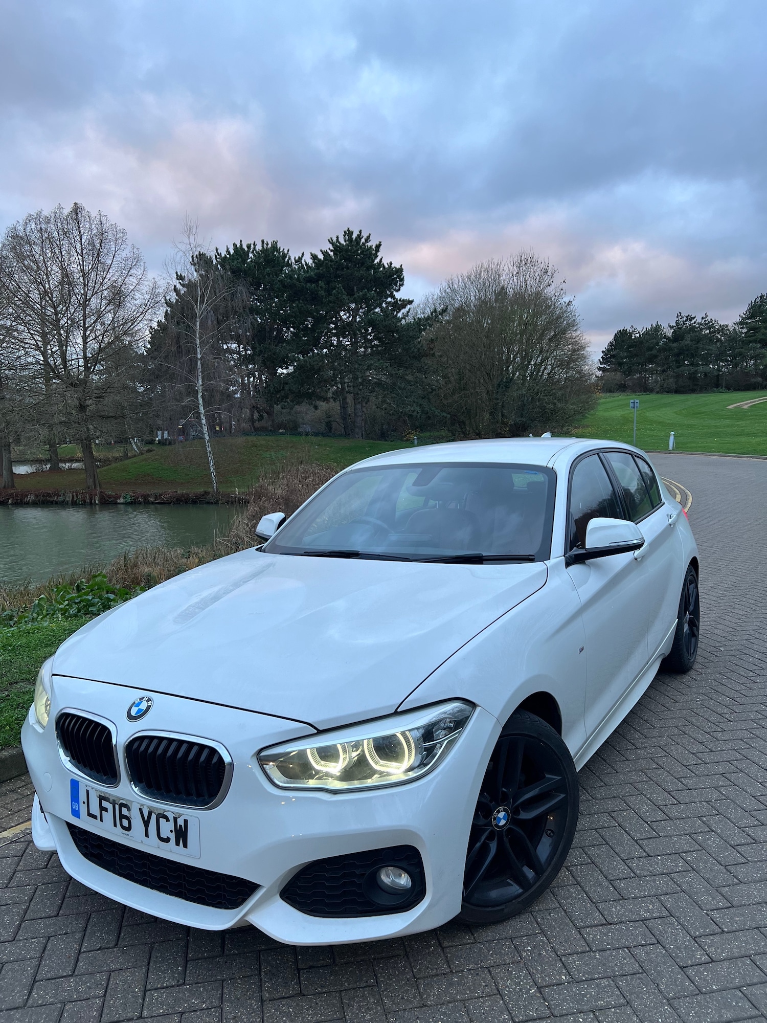 Used BMW 1 Series 2016 for sale - 76942728: Photo 2