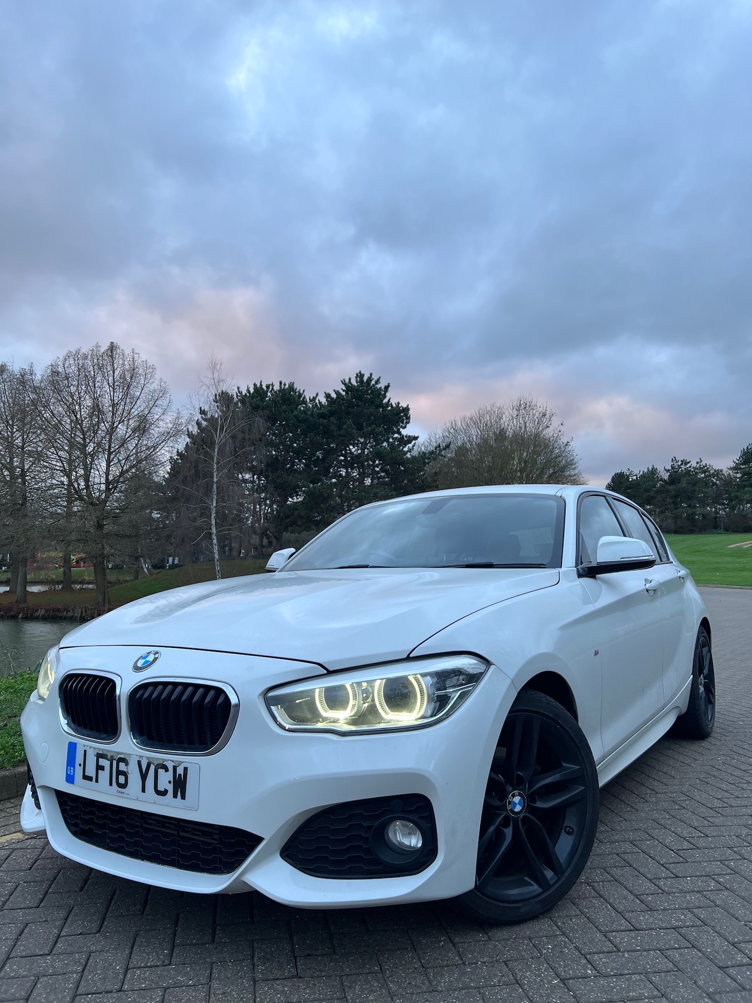 Used BMW 1 Series 2016 for sale - 76942728: Photo 3