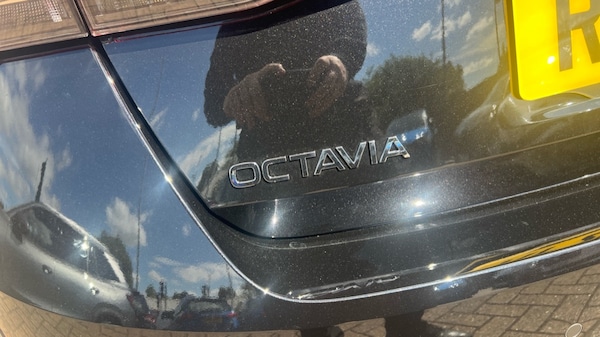 Used Skoda Octavia 2025 for sale - 75467311: Photo 34